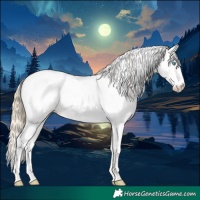 Horse Color:Buckskin Roan Pearl Leopard and Buckskin Roan Pearl Splash Leopard