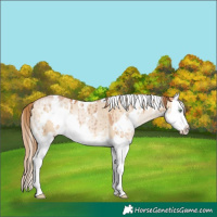 Horse Color:White Spotted Bay Pearl Dun Splash Brindle 