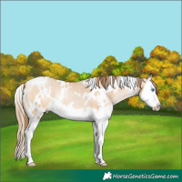 Horse Color:White Spotted Bay Pearl Dun Mushroom Splash
