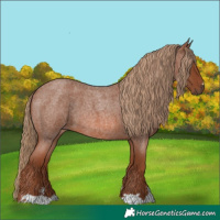 Horse Color:Red Roan