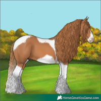 Horse Color:Chestnut Tobiano Frame 