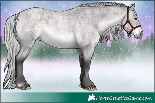 Horse Color:Platinum Silver Buckskin Roan 