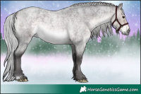 Horse Color:Platinum Silver Buckskin Roan 