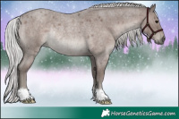 Horse Color:Platinum Silver Blue Roan Rabicano 