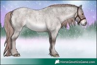 Horse Color:Platinum Liver Red Roan 
