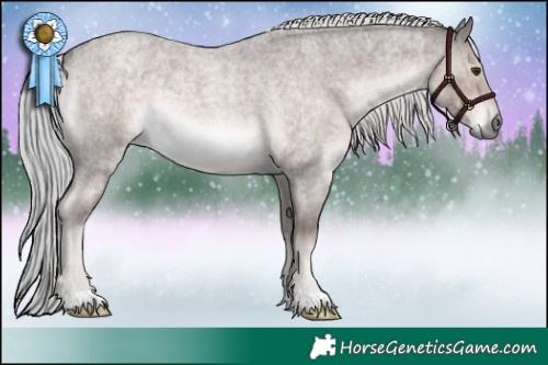 Horse Color:Platinum Chocolate Palomino Roan Rabicano