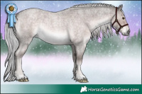 Horse Color:Platinum Chocolate Palomino Roan Rabicano
