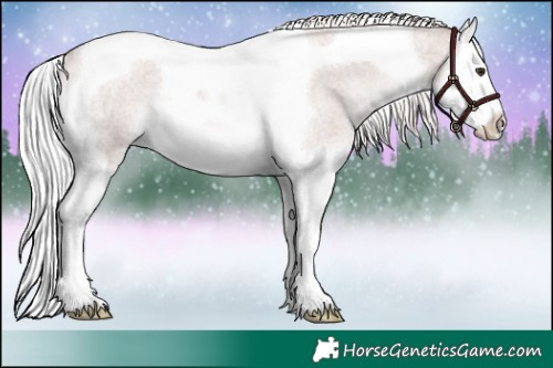 Horse Color:Platinum Palomino Roan Splash Tobiano Rabicano