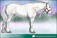 Horse Color:Platinum Palomino Roan Splash Tobiano Rabicano 