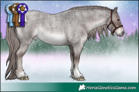 Horse Color:Platinum Liver Red Roan Tobiano Rabicano
