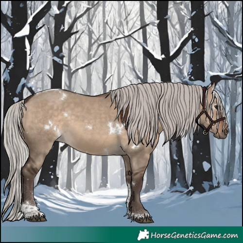 Horse Color:White Spotted Silver Brown Dun Tobiano 