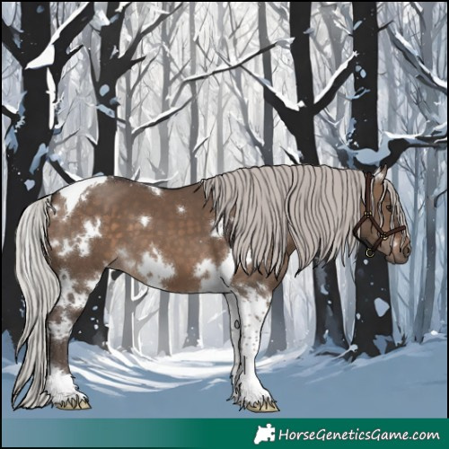 Horse Color:White Spotted Silver Brown Dun Tobiano 