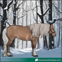 Horse Color:Silver Brown Dun Tobiano