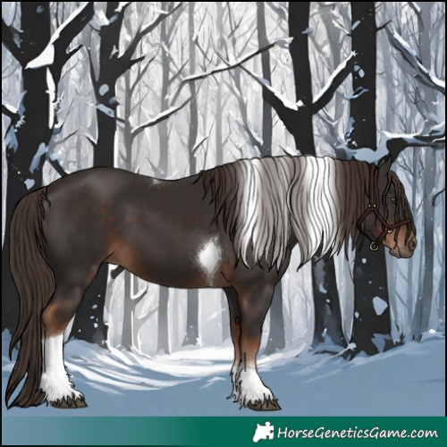 Horse Color:Liver Chestnut Tobiano 