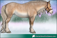 Horse Color:Chocolate Palomino Roan Splash Rabicano 