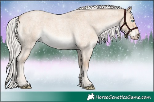 Horse Color:Silver Perlino Roan Rabicano