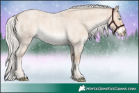 Horse Color:Silver Perlino Roan Rabicano 