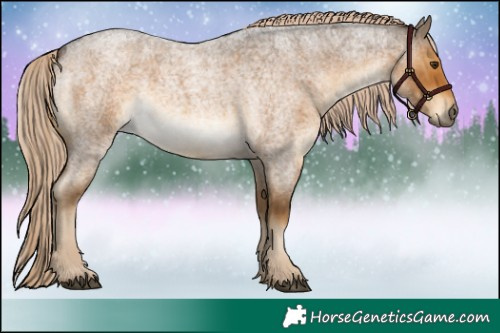Horse Color:Chocolate Palomino Roan 