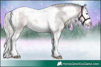 Horse Color:Platinum Chocolate Palomino Roan Splash Tobiano