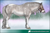 Horse Color:Platinum Liver Red Roan Tobiano