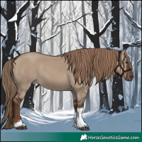 Horse Color:Liver Red Dun Tobiano 