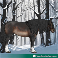 Horse Color:Brown Tobiano 
