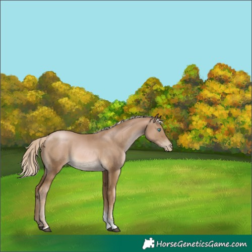 Horse Color:Chocolate Palomino Pearl Tobiano 