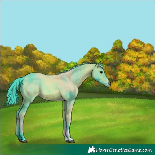 Horse Color:Watercolor Buckskin Tobiano 