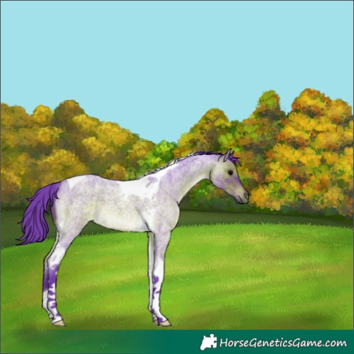 Horse Color:Watercolor Brown Roan Tobiano 