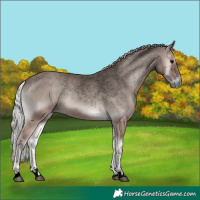 Horse Color:Void Platinum Silver Blue Onyx 
