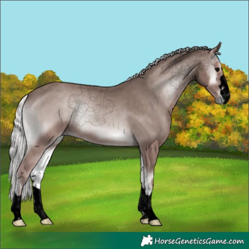 Horse Color:Void Platinum Silver Blue Onyx 