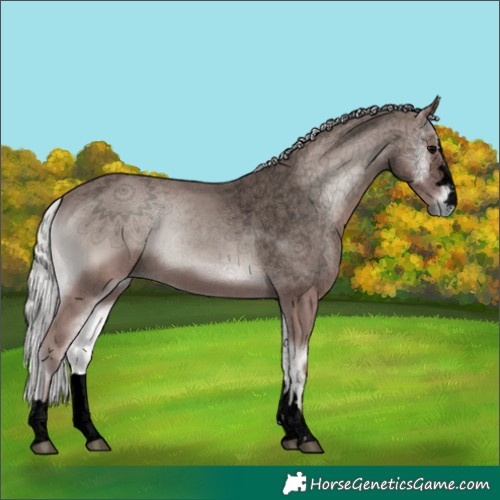Horse Color:Void Platinum Silver Blue Onyx 