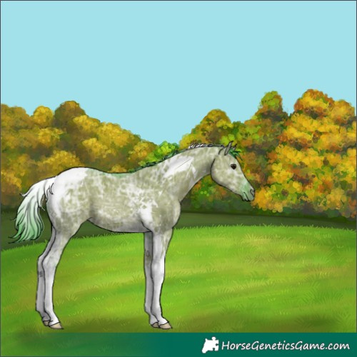 Horse Color:Watercolor Smoky Grullo Ice Tobiano 