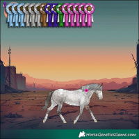 Horse Color:Bay Snowcap 