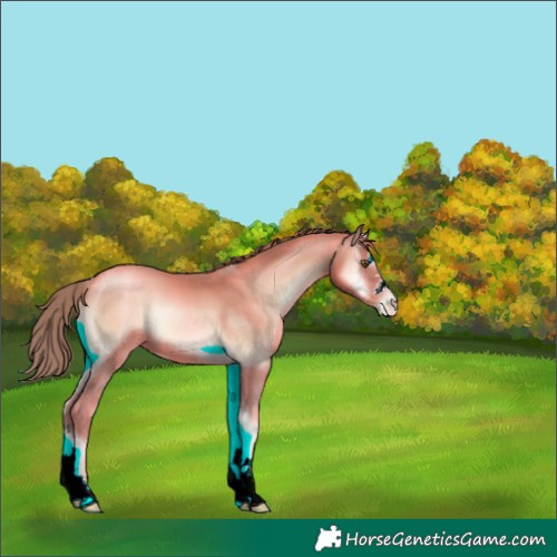 Horse Color:Watercolor Red Onyx Pearl 