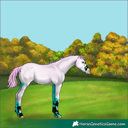 Horse Color:Watercolor Red Dun Chinchilla Onyx 