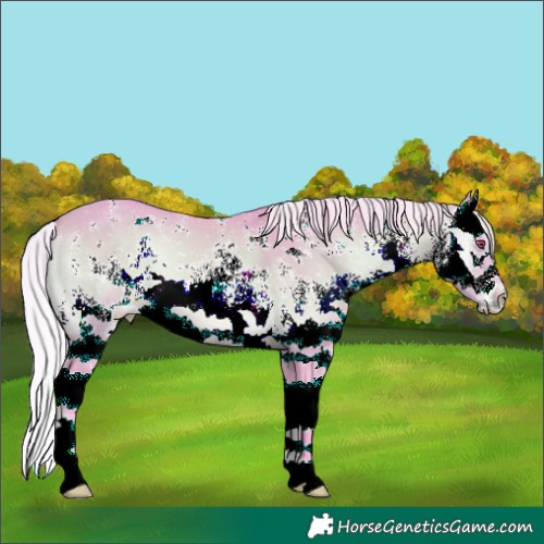 Horse Color:Watercolor White Spotted Silver Bay Chinchilla Onyx Splash 