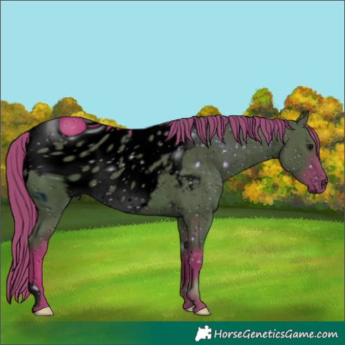Horse Color:ERROR: UNKNOWN ANOMALY