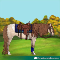 Horse Color:Amber Champagne Ice Dun Varnish Brindle 