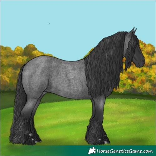 Horse Color:Blue Roan Rabicano 