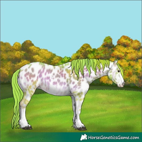 Horse Color:Watercolor Red Onyx Sabino Near Leopard