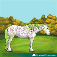 Horse Color:Watercolor Red Onyx Sabino Appaloosa 