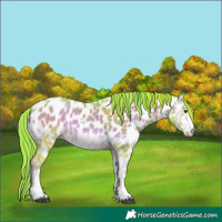 Horse Color:Watercolor Red Onyx Sabino Near Leopard 