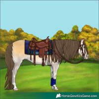 Horse Color:Amber Cream Champagne Onyx 