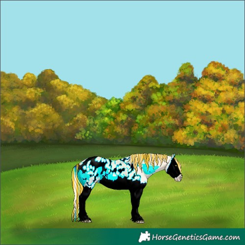 Horse Color:Painted Silver Amber Cream Champagne Onyx Splash Appaloosa