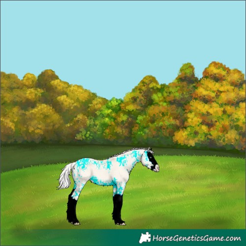 Horse Color:Silver Amber Cream Champagne Ice Dun Splash