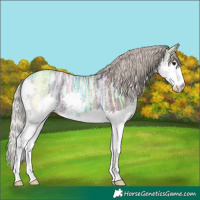 Horse Color:Silver Black Ice Splash 