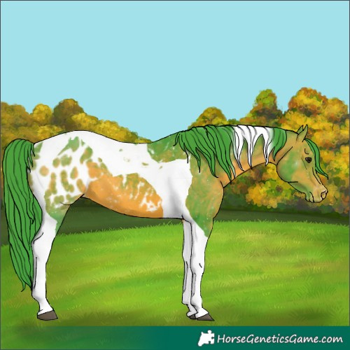 Horse Color:Watercolor Brown Tobiano Blanket