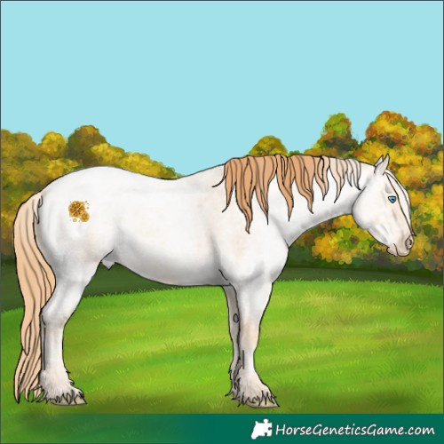 Horse Color:Buckskin Ice Roan Pearl 