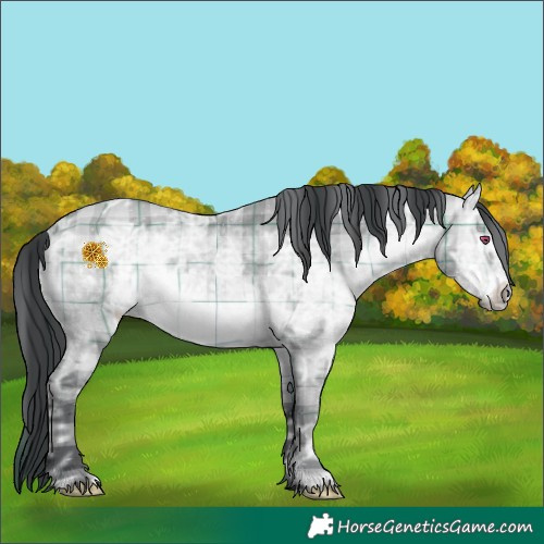 Horse Color:Plaid  Brown Chinchilla Ice Dun 